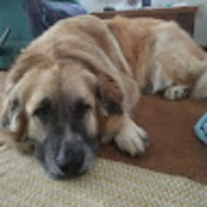 Meet your Posher, Jay